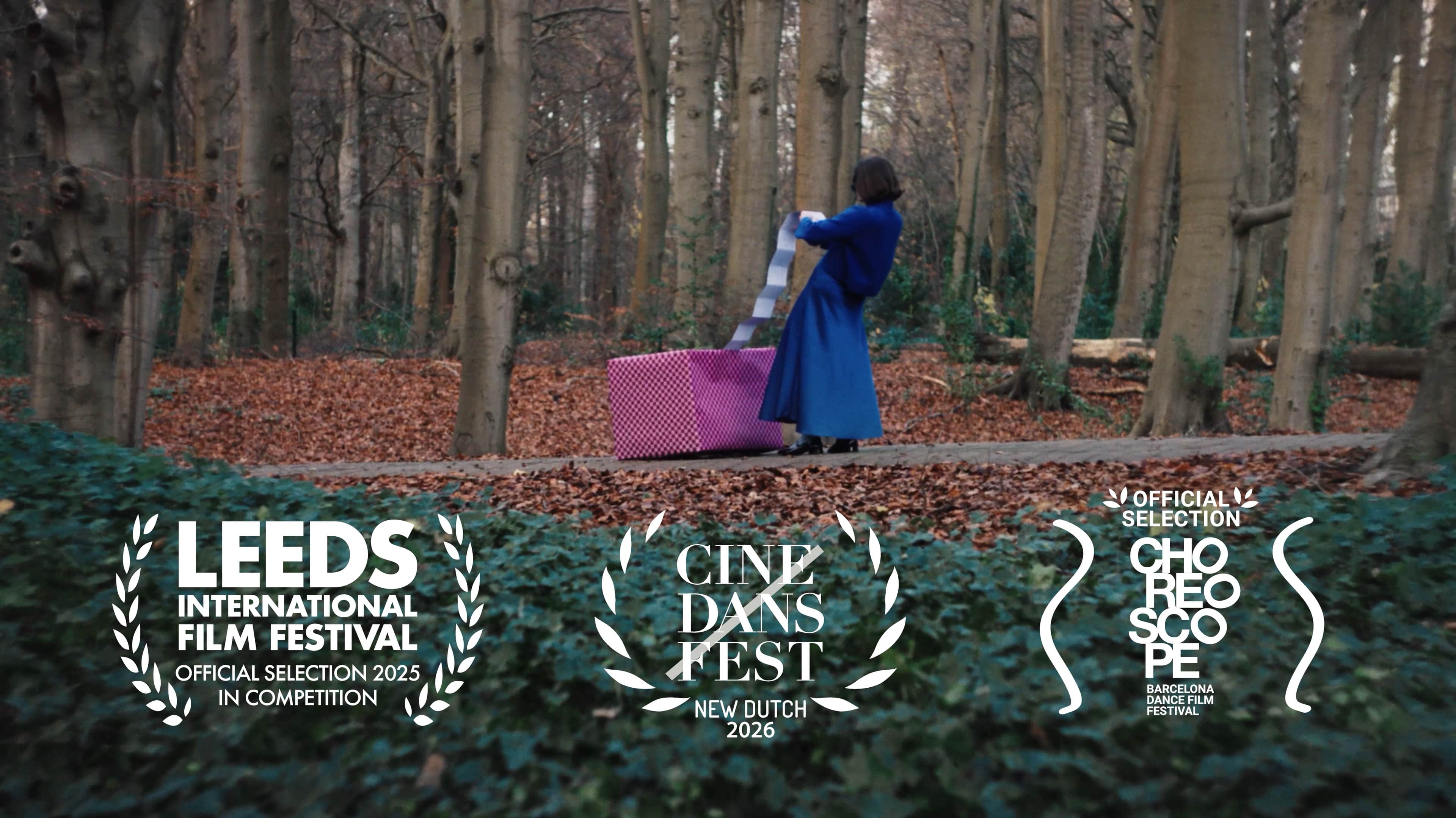 The Gift - Montage